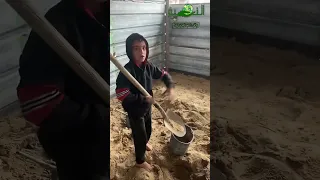 اناعماني علم عمان يرفرف في فلسطين Freefire Cr7 فري فاير اكسبلور CR7 