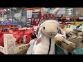 Llamas at Costco