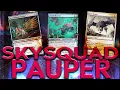 SKY-Squad 20 Flyers every color available MTG PAUPER Magic the Gathering