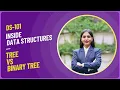 Difference Between Tree and Binary Tree in Data Structure Easy Explanation