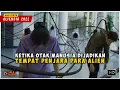 Ketika Otak Manusia Di Jadikan Tempat Penjara Para Alien Jahat ALIENOID 2022