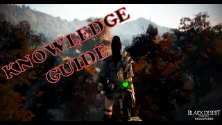 Knowledge Guide Energy Points - Black Desert Online