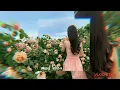 Download Lagu Keep Your Head Up Princess / Song by / [  Anson Seabra  ] 🌹