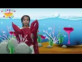 Yengeç Kumda Dur Çocuk Şarkısı - Onur Erol