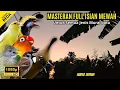 Download Lagu MASTERAN MURAI BATU FULL ISIAN TEMBAKAN MEWAH #masteranmuraibatu