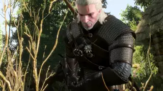 Witcher 3 Wild Hunt How to defeat the Noonwraith