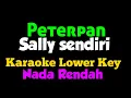 Download Lagu Peterpan Sally sendiri karaoke