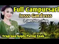 Download Lagu SRAGENAN CAMPURSARI FULL ALBUM 1 JAM NONSTOP PALINH GAYENG || FULL SRAGENAN CAMPURSARI