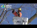 Alliant Energy Tree Trimming Guidelines