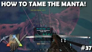 ARK SURVIVAL EVOLVED HOW TO TAME A MANTA RAY SUCCESSFULLY