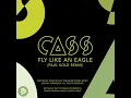 Fly Like an Eagle (Paul Kold Remix)