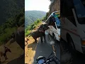Gajah Mengamuk Hadang Bus di Jalan Ekstrem! 🐘🚍😱 | Viral Moments