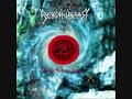 Borknagar - Oceans Rise