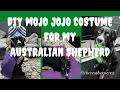 DIY Mojo Jojo Costume for My Dog Halloween Australian shepherd s evil genius of all dogs