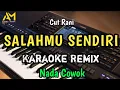 Download Lagu SALAHMU SENDIRI KARAOKE REMIX NADA PRIA