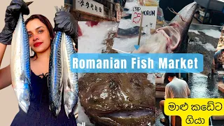 Shocking Romanian Fish Market FULL of Live Fish
