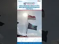 Download Lagu Viral! Bendera Merah Putih Berkibar Bersama Bendera One Piece di Media Sosial
