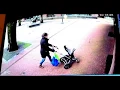 Trees Falling Compilation No Music