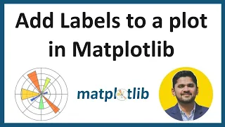 6 How to add labels to a plot in Matplotlib Python Matplotlib Tutorial for Beginners Amit Thinks