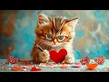 Download Lagu Valentine's Day with Cute Kittens | Cult of Kittens