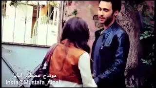 حبيب علي موال محاورة شعرية 