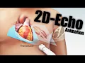 Echocardiography 2D-Echo of heart Animation Daily Cardiology