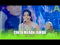 Lagu CINTA MERAH JAMBU - ICHA KISWARA - OM SAVANA SAKJOSE