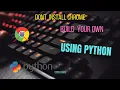 Created My own Chrome Browser in Python