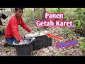 Proses Panen Getah Karet, Mencetak Getah Karet Mengunakan Kotak Sedang