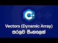 C Basics Vectors Dynamic Arrays