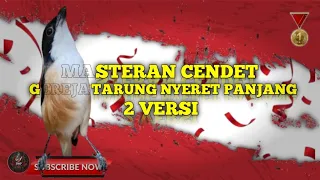  masteran cendet gereja nyeret panjang 2 versi masterancendet masteranburung masteran