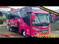 Bukan Medium Bus Biasa|Trip Belitang-Jakarta| ALMIRA \