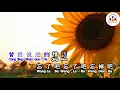 Lagu 算了吧 (Suan Le Ba) - Hua Jie (花姐)