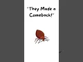 Download Lagu Did You Know Bed Bugs Were Almost Gone?  Info in the description