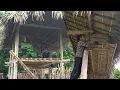 Download Lagu Life Off the Grid: A Brave Single Mom's Journey to Complete Her New Wooden House - Tieu Yen