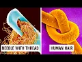 14 Amazing Things Under a Microscope You Can t Unsee