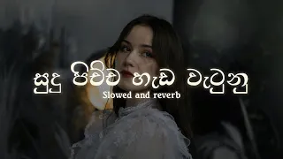 sudu pichcha hada watunu slowed and reverb with lyrics dassamusic