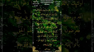 ويقولون آمنا بالله وبالرسول وأطعنا ثم يتولى فريق منهم الشيخ أحمد بن طالب حميد Shortsقرآن 