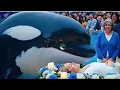 Download Lagu Dolphin/Orca Crying in Jessica (Dolphin Trainer Funeral Ceremony Near Coffin in Cemetery