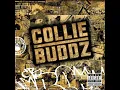 Collie Buddz - Blind to You