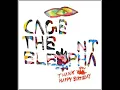 Cage The Elephant - Shake Me Down (Lyrics)