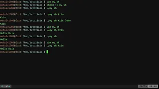 BASH Fallback to Default Variables Linux Shell Tutorial