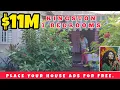 Cheap 3 Bedroom Fixer Upper house in Kingston Mango and ackee tree on the property