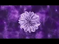 JJOZlAH, wspkartel, ProdByAbnormal - want sum (Official Audio) #JerseyClub