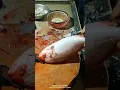 Download Lagu viral video.sembali #red kural fish cutting skills##like.nd#share