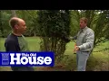 How to Deer-Proof Small Trees This Old House