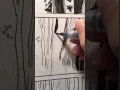 Inking Judge Parker forest