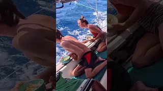 Day 17 at sea what did we see