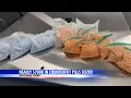 Lafayette Police seize nearly 700k in counterfeit pills