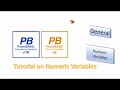 PowerBasic Window Console Compilers - Numeric Variables